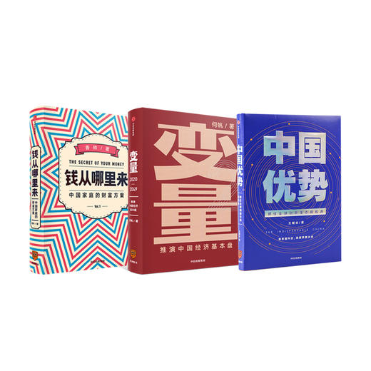 罗振宇2020跨年演讲推荐：变量2：推演中国经济基本盘+钱从哪里来+中国优势 商业 商品图0