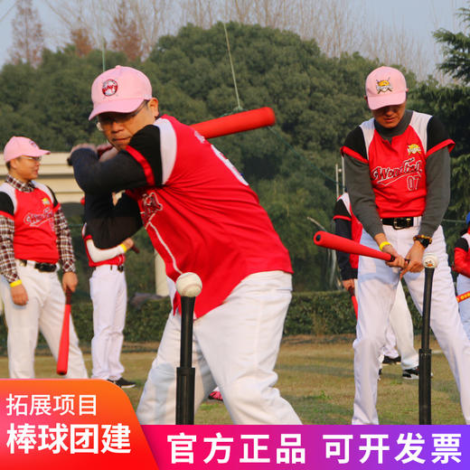 棒球团建活动器材企业团队体验拓展训练道具手套棒球发球架子套装 商品图0