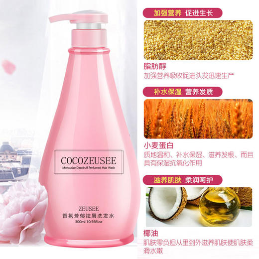 coco洗发水护发素沐浴露套装香水洗护留香洗发护发 商品图0
