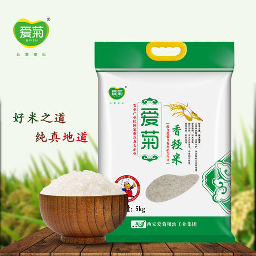 爱菊 东北大米 香粳米 5kg 商品图3