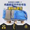 牛顿中童适合3-5年级 商品缩略图0
