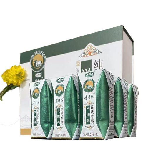 兴海县牦牛奶8罐装（含100％牦牛奶）（210ML×8）/箱 商品图0