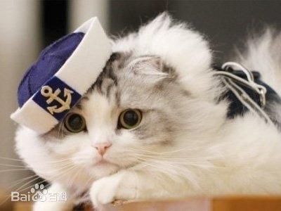 同城配送 商品图0