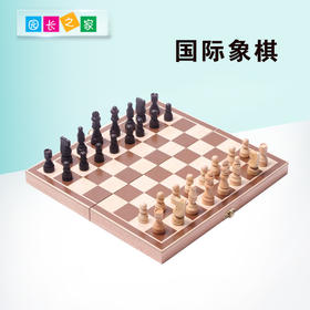 象棋初学者 儿童玩具