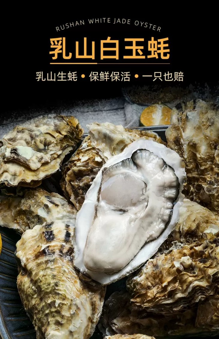 【小橙严选】乳山生蚝 肉肥味美 建议下单xl型
