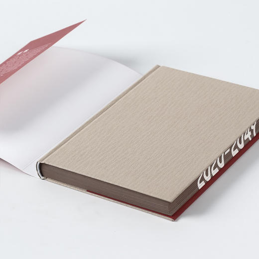 【财富自由，其实并不遥远】变量2：推演中国经济基本盘 何帆著 变量2包邮 得到罗振宇跨年演讲重磅推荐 得到罗辑思维推荐  中信出版社 正版书籍 商品图3