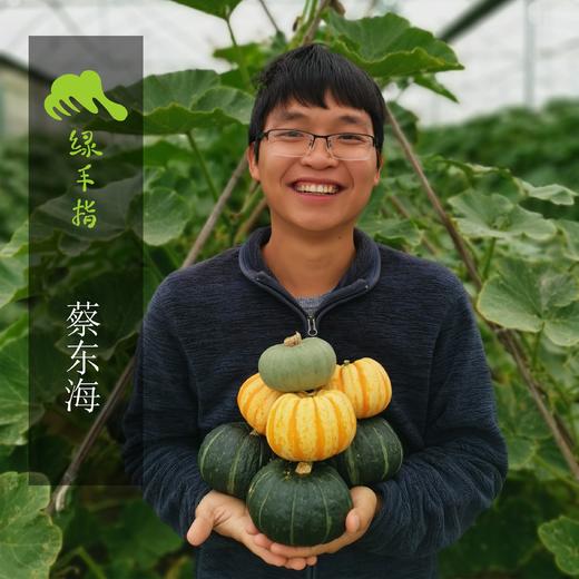 生态桔瓜 | 绿家自产*Eco-baby pumpkin | Self-production 商品图1