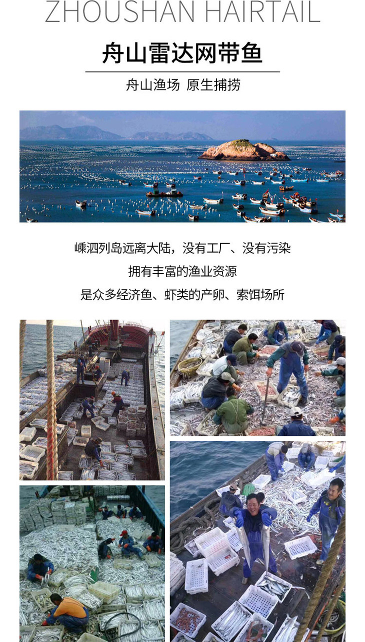 优选新品|舟山雷达 网带鱼段 2斤/份