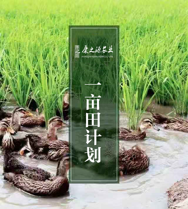 康之源鲜米计划一亩田认购计划