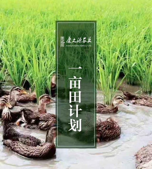 康之源鲜米计划一亩田认购计划 商品图0