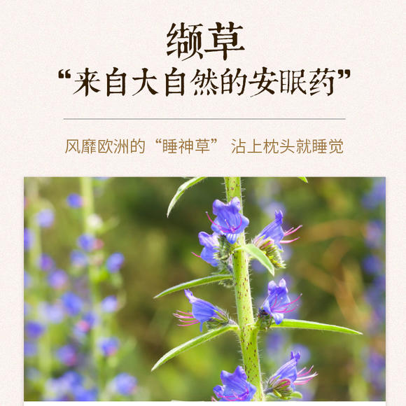 【买2送1】御恒堂拔熟睡足贴欧洲