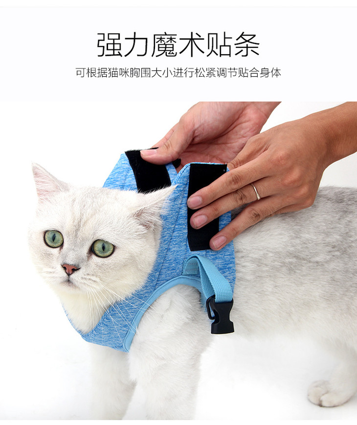猫背带_07
