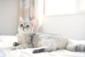 Mark送礼上品 商品图0