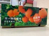 17.6度橙 商品缩略图0