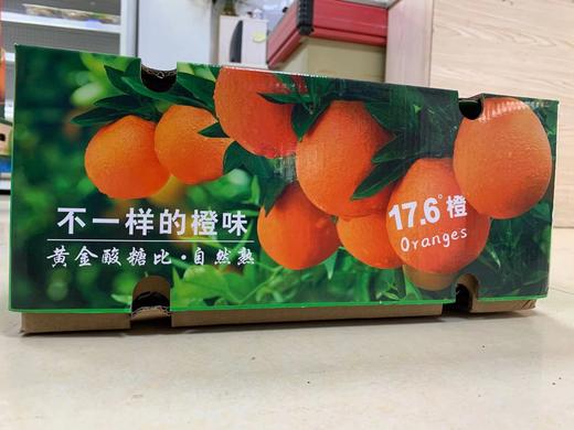 17.6度橙 商品图0
