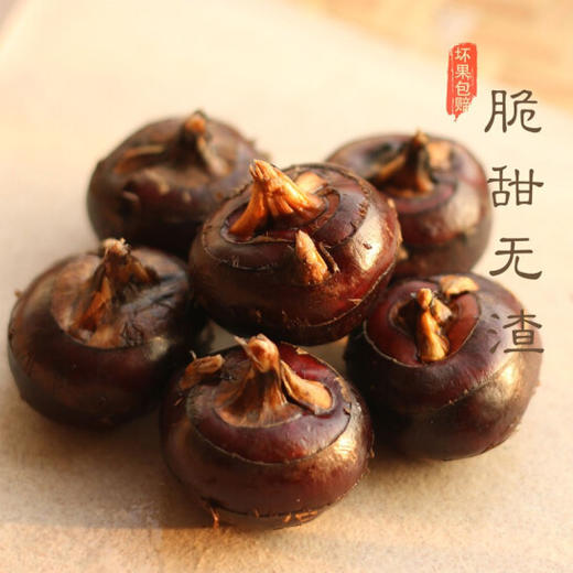 广西马蹄 商品图4
