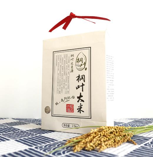 【兑换专属链接】致敬最美的你  奔赴湖北一线作战医务人员桐叶超日标大米 商品图2