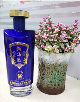 新华欣G6－视频