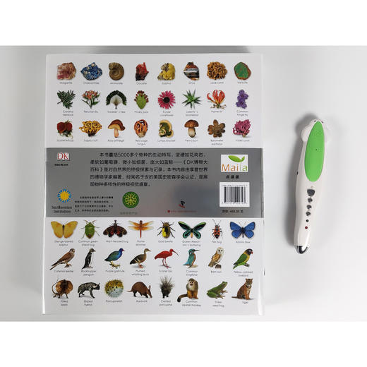 【点读版】DK博物大百科 商品图1