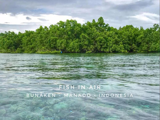 【度假村】印尼美娜多布那肯飞鱼潜水度假村 商品图0