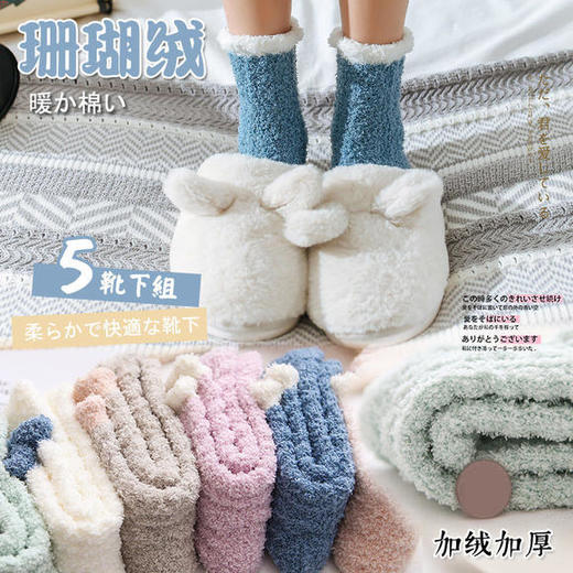 KYB-新款珊瑚绒加厚加绒家居地板袜 商品图1