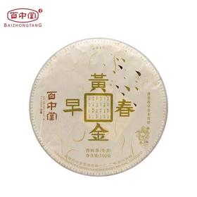 百中堂 2019年 黄金春早 云南高山普洱 早春生茶 明前春尖 500克