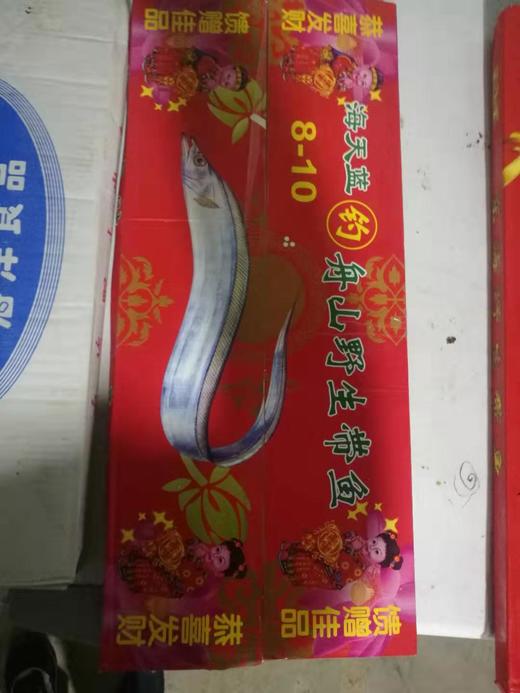 野山舟山刀鱼 小个头  一箱7斤 商品图0