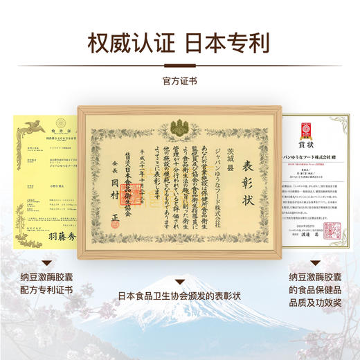 纳豆先生纳豆激酶软胶囊——每日一粒呵护血管健康 商品图4