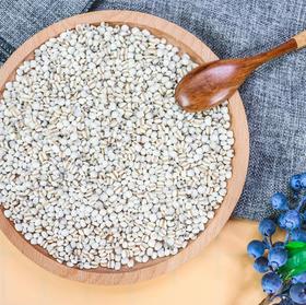 常吃薏米没效果？你可能吃的是“冒牌货”
