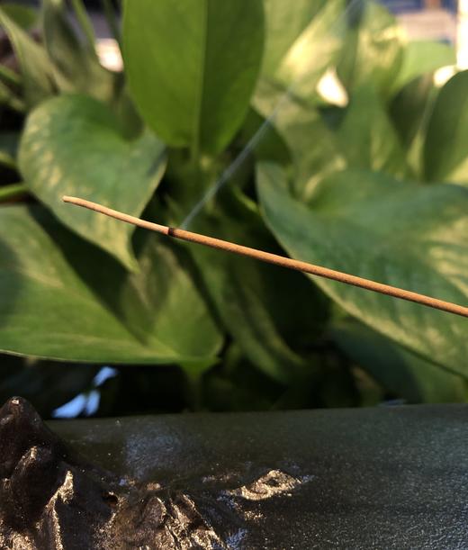 海南沉香（10g） 商品图4