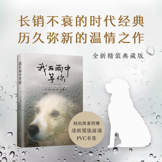 我在雨中等你 商品图1