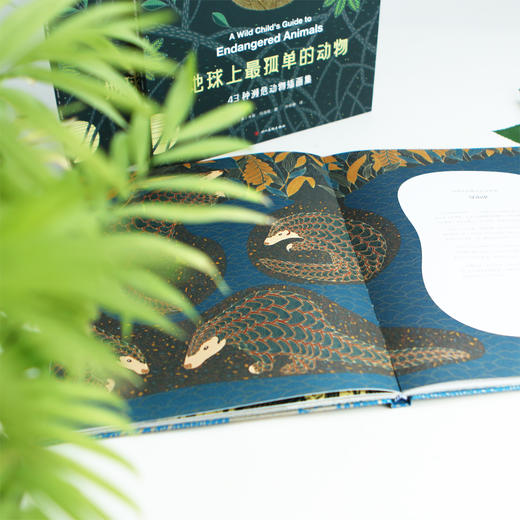 地球上蕞孤单的动物 43种濒危动物插画集（《纽约时报》《星期日泰晤士报》畅销榜作家 拥有全世界数百万粉丝的“涂色书女王”米莉•玛洛塔 突破往日线描风格的全新力作）-分销 商品图2