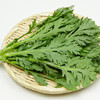 茼蒿菜 商品缩略图0