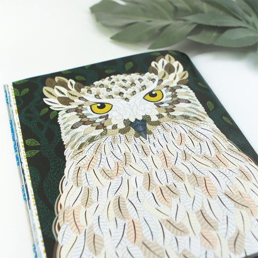 地球上蕞孤单的动物 43种濒危动物插画集（《纽约时报》《星期日泰晤士报》畅销榜作家 拥有全世界数百万粉丝的“涂色书女王”米莉•玛洛塔 突破往日线描风格的全新力作）-分销 商品图5