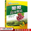 葡萄高效栽培 翟秋喜 高效种植致富直通车 商品缩略图0