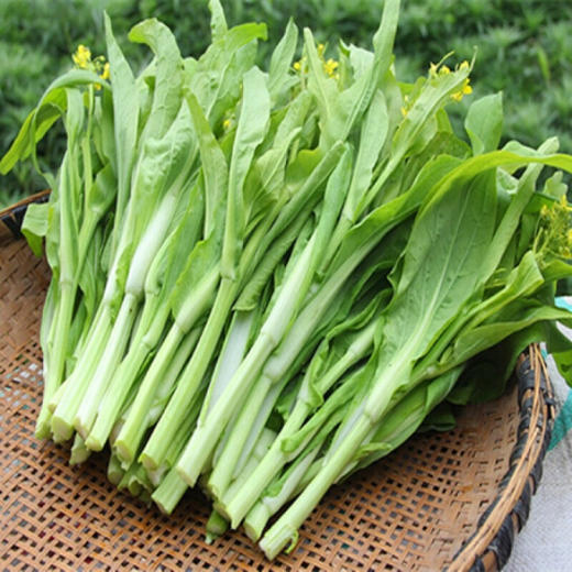 青菜苔 商品图0