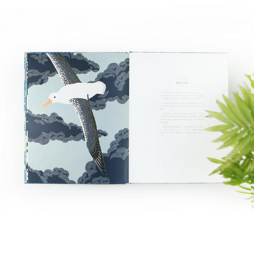 地球上蕞孤单的动物 43种濒危动物插画集（《纽约时报》《星期日泰晤士报》畅销榜作家 拥有全世界数百万粉丝的“涂色书女王”米莉•玛洛塔 突破往日线描风格的全新力作）-分销 商品图4