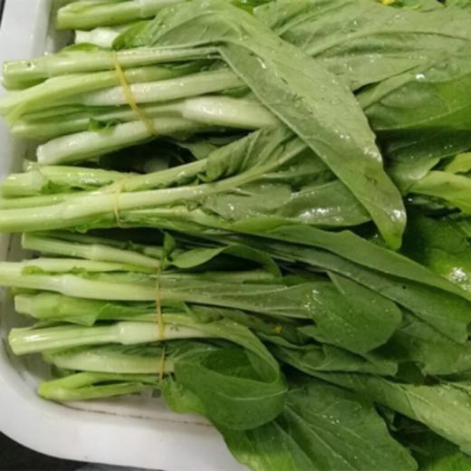 青菜苔 商品图2