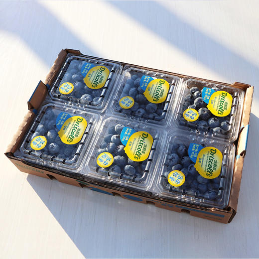 云南怡颗莓蓝莓125克*2盒 商品图3