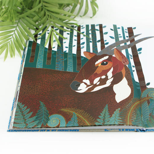 地球上蕞孤单的动物 43种濒危动物插画集（《纽约时报》《星期日泰晤士报》畅销榜作家 拥有全世界数百万粉丝的“涂色书女王”米莉•玛洛塔 突破往日线描风格的全新力作）-分销 商品图6