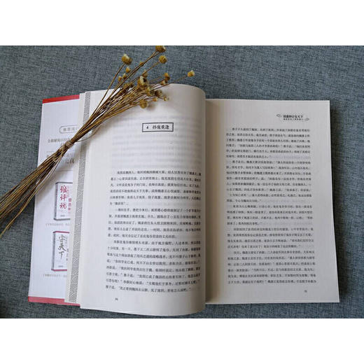 赭城：安达露西亚的文学之旅  田晓菲 著 商品图2