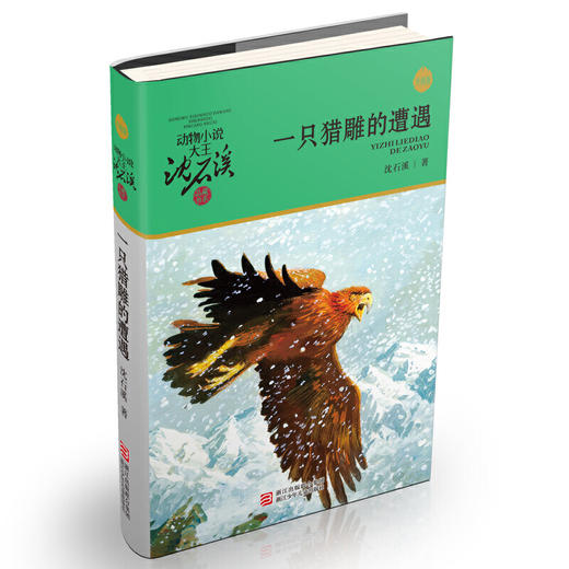 动物小说大王沈石溪·品藏书系：一只猎雕的遭遇（升级版） 商品图0