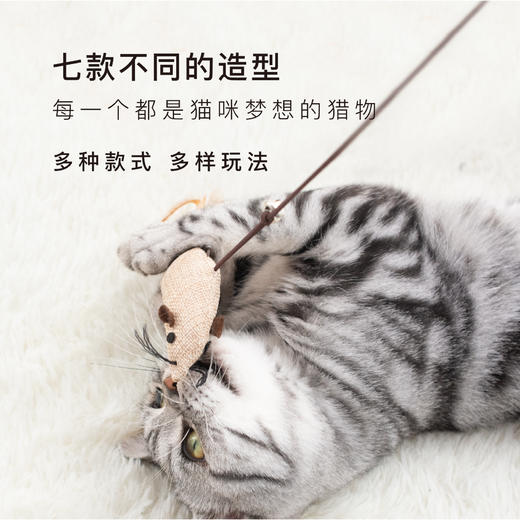 美芙7件套逗猫玩具套装 商品图2