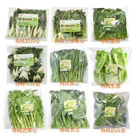 东升农场 有机礼品菜1箱，按当日收割品种随机发货18包 广州蔬菜新鲜配送