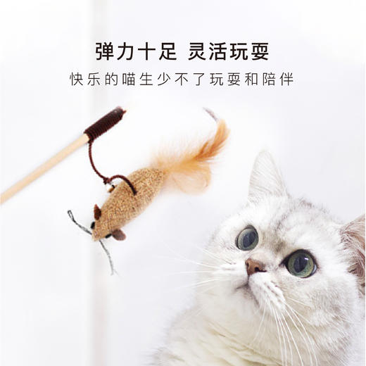 美芙7件套逗猫玩具套装 商品图4