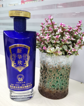 抽奖-G6（1瓶）