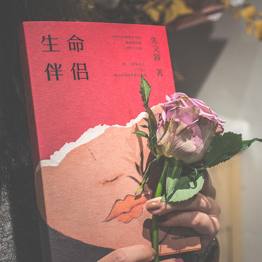 生命伴侣 朱文颖 著 爱与温情 情感世界 感情冒险与厄运 女性情感 当代小说 当代文学 中信出版社图书 正版 商品图7