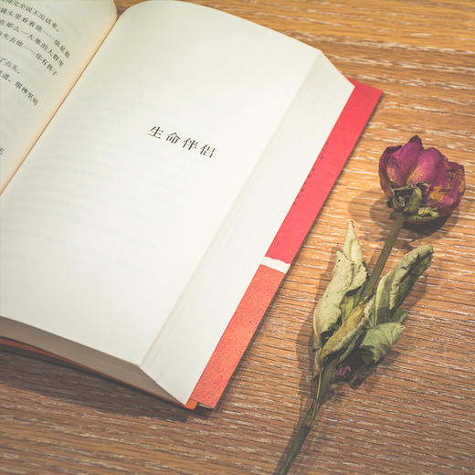 生命伴侣 朱文颖 著 爱与温情 情感世界 感情冒险与厄运 女性情感 当代小说 当代文学 中信出版社图书 正版 商品图5