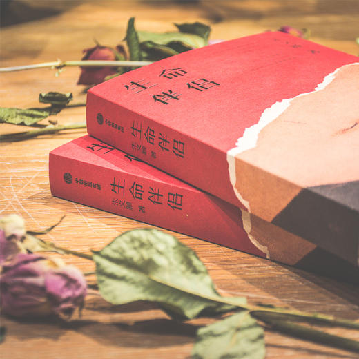 生命伴侣 朱文颖 著 爱与温情 情感世界 感情冒险与厄运 女性情感 当代小说 当代文学 中信出版社图书 正版 商品图9