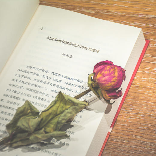 生命伴侣 朱文颖 著 爱与温情 情感世界 感情冒险与厄运 女性情感 当代小说 当代文学 中信出版社图书 正版 商品图4